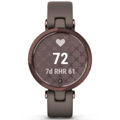 Montre Garmin Lily